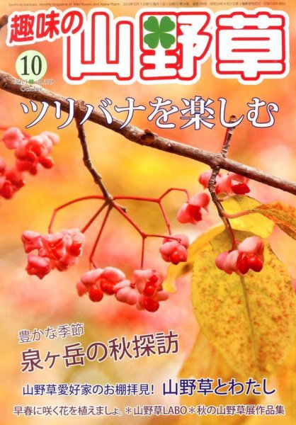 趣味の山野草 10月号 (発売日2013年09月12日) 表紙