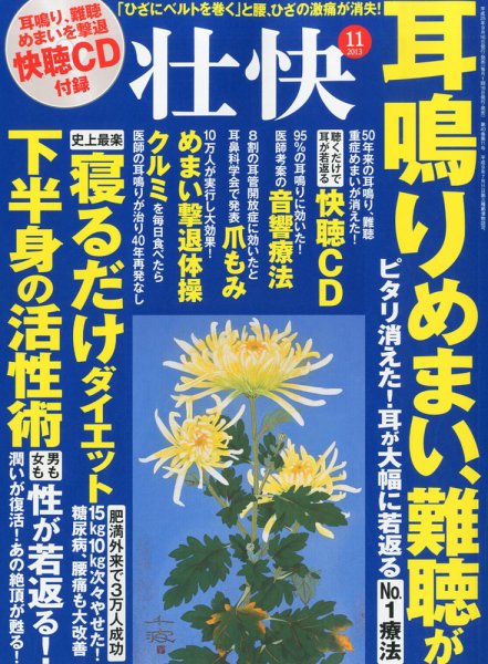 壮快 11月号 (発売日2013年09月14日) 表紙
