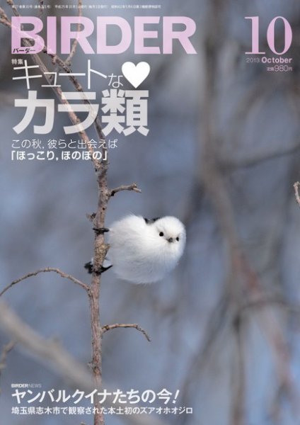 BIRDER（バーダー） 2013年10月号 (発売日2013年09月14日) 表紙