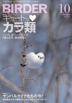 BIRDER（バーダー） 2013年10月号 (発売日2013年09月14日) 表紙