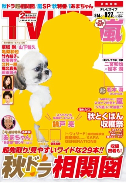 TV LIFE （テレビライフ） 静岡版 9/27号 (発売日2013年09月11日) 表紙