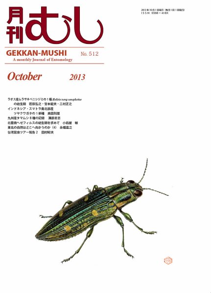 月刊むし 512 (発売日2013年09月23日) 表紙
