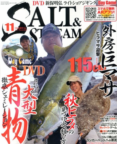 SALT＆STREAM（ソルト＆ストリーム） 11月号 (発売日2013年09月21日) 表紙
