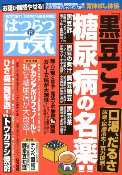 はつらつ元気 11月号 (発売日2013年10月02日) 表紙