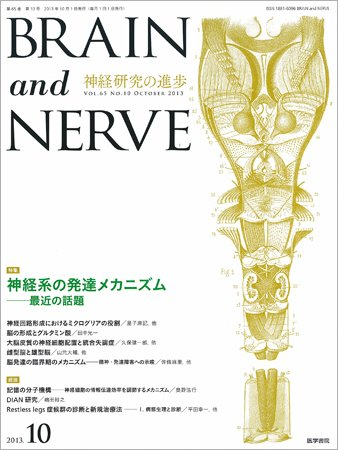 BRAIN and NERVE（ブレインアンドナーブ） Vol.65 No.10 (発売日2013年10月01日) 表紙