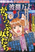 本当にあった女の波乱万丈人生 11月号 (発売日2013年09月28日) 表紙