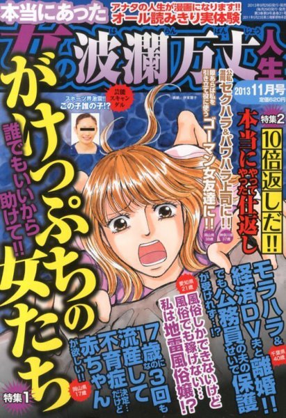 本当にあった女の波乱万丈人生 11月号 (発売日2013年09月28日) 表紙