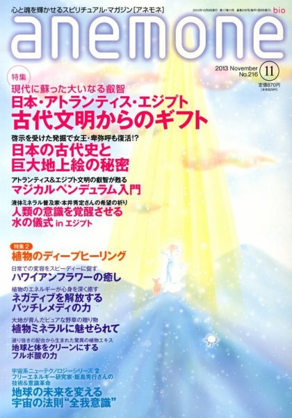 anemone（アネモネ） 11月号 (発売日2013年10月09日) 表紙