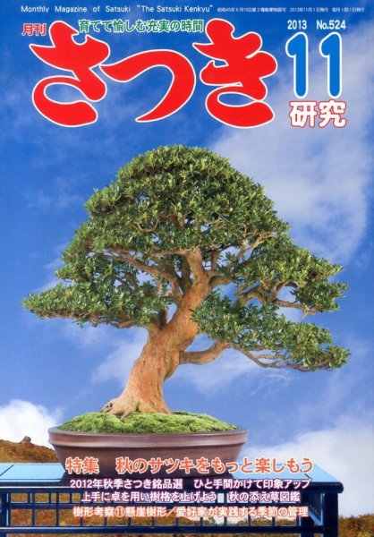 さつき研究 11月号 (発売日2013年10月04日) 表紙