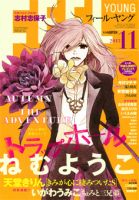 フィールヤング 11月号 (発売日2013年10月08日) 表紙