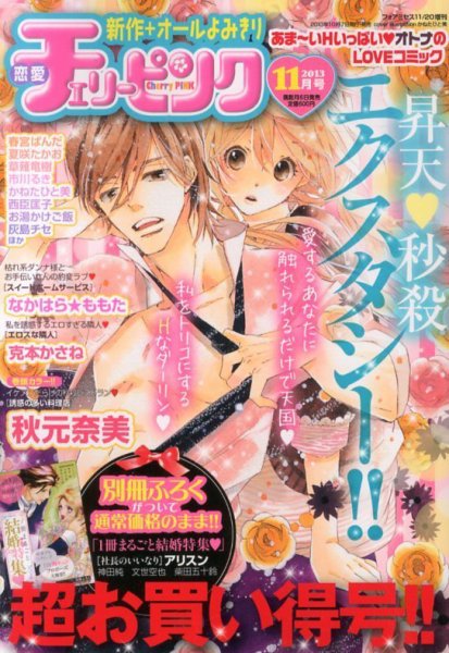 増刊 for Mrs. (フォアミセス) 11月号 (発売日2013年10月07日) 表紙