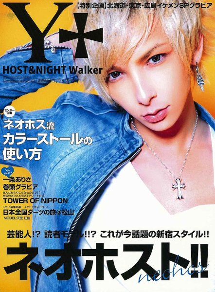 YPLUS（ワイプラス） 2013年11月号 (発売日2013年10月15日) 表紙
