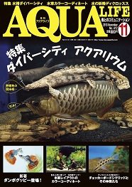 アクアライフ（月刊雑誌）⚠️1冊800円です。 月刊アクアライフ 2024年01月号 2024年アクアリウム超図鑑800