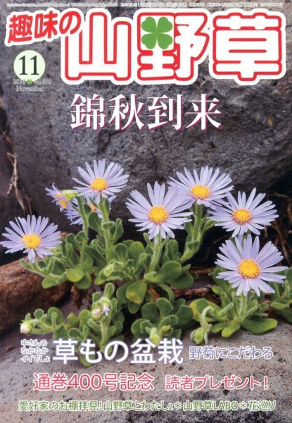 趣味の山野草 11月号 (発売日2013年10月12日) 表紙