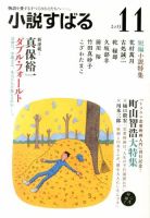 小説すばる 11月号 表紙