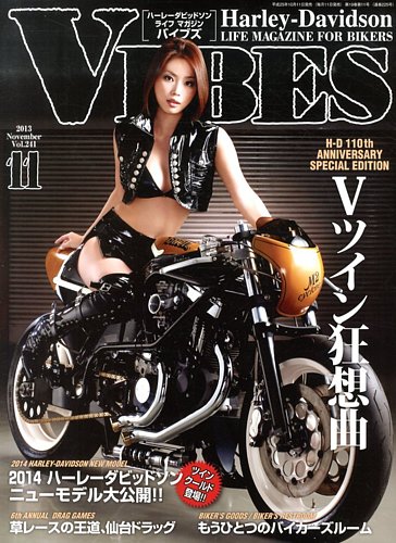 VIBES（バイブズ） 11月号 (発売日2013年10月11日)