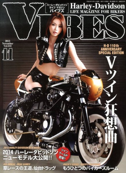 VIBES（バイブズ） 11月号 (発売日2013年10月11日) 表紙
