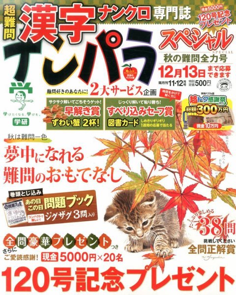 ナンパラSpecial 11月号 (発売日2013年10月12日) 表紙