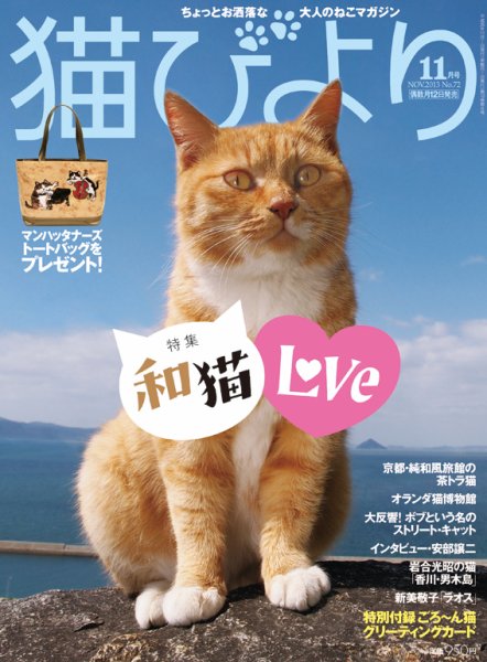 猫びより 72号 (発売日2013年10月12日) 表紙