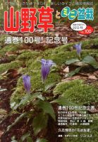 山野草とミニ盆栽 11月号 (発売日2013年10月12日) 表紙