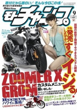 りーもーちゃん(パイン) minichamps zx-9r