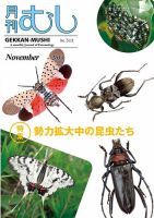 月刊むし 513 表紙