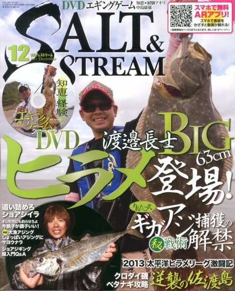 SALT＆STREAM（ソルト＆ストリーム） 12月号 (発売日2013年10月21日) 表紙