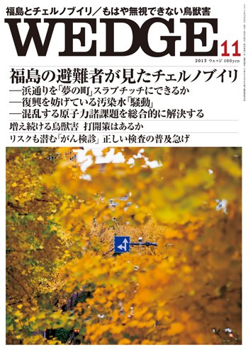Wedge（ウェッジ） 11月号 (発売日2013年10月20日) 表紙