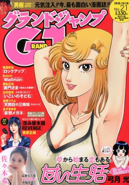 グランドジャンプ 10/16号 (発売日2013年10月02日) 表紙