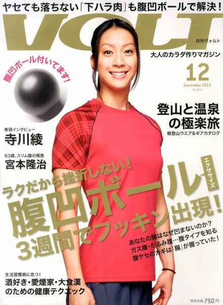 VOLT（ヴォルト）  12月号 (発売日2013年10月22日) 表紙