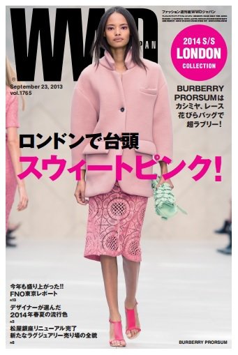 WWDJAPAN 2013年09月23日発売号 表紙