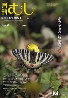 月刊むし 423 表紙