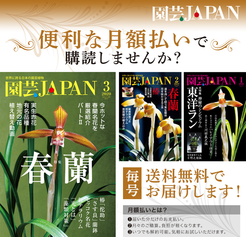 園芸japan を便利な月額払いで購読しませんか 雑誌 定期購読の予約はfujisan