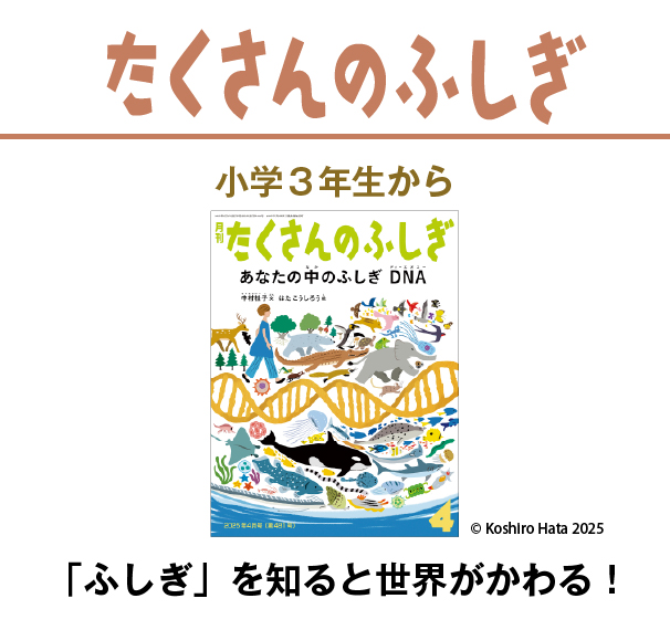 福音館書店 たくさんのふしぎ