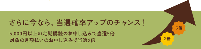 さらに今なら、当選の確率アップのチャンス！