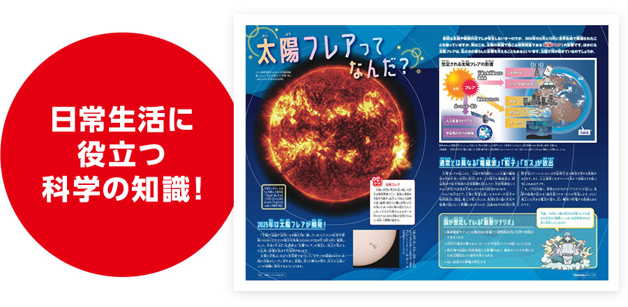 雑誌の内容