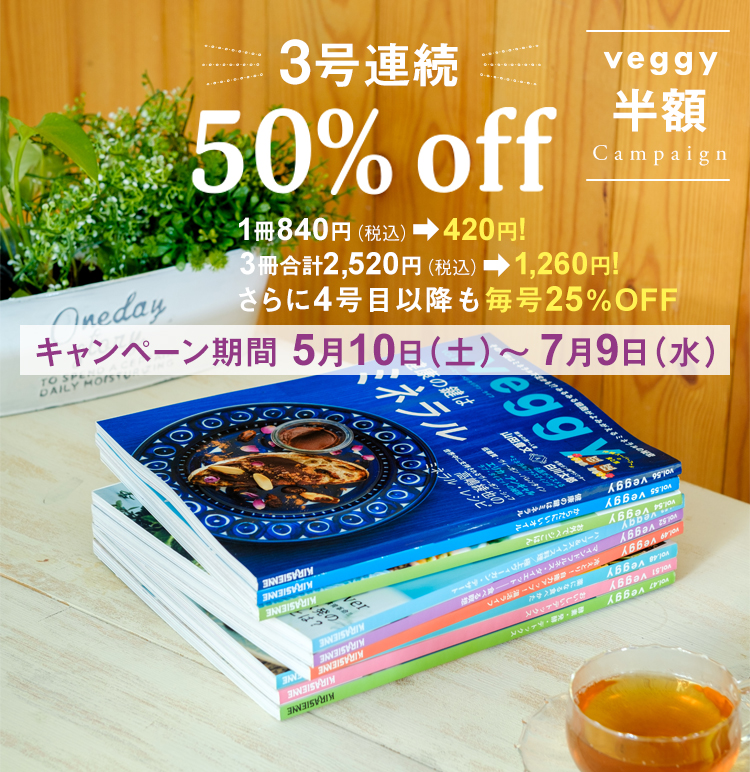 vg キャンペーン