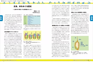 理科の探検のバックナンバー  雑誌/電子書籍/定期購読の予約はFujisan