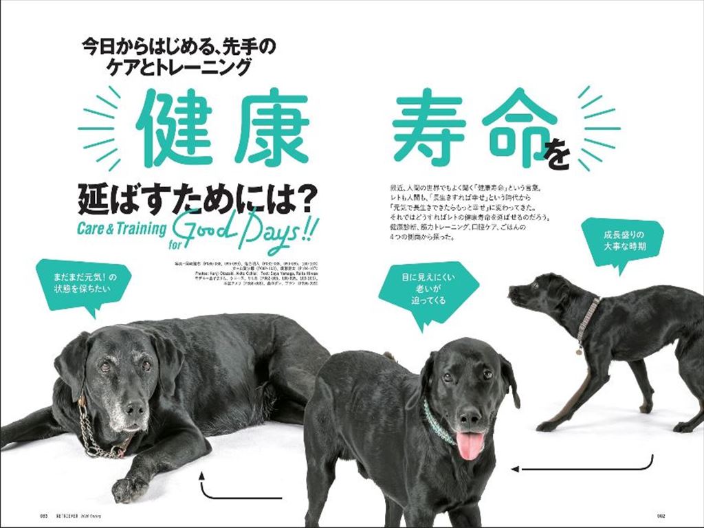 Retriever レトリーバー Vol 70 発売日12年12月14日 雑誌 定期購読の予約はfujisan