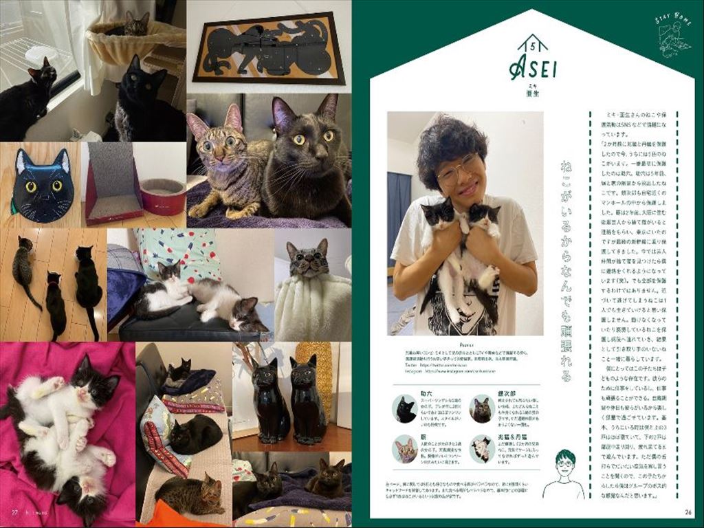 ねこ 110 発売日19年04月12日 雑誌 電子書籍 定期購読の予約はfujisan