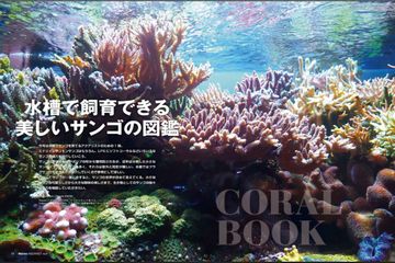 マリンアクアリスト｜特典つき定期購読 - 雑誌のFujisan