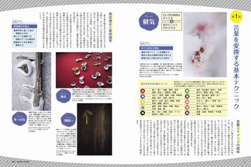 写真ライフの最新号 21年7月号 発売日21年06月17日 雑誌 電子書籍 定期購読の予約はfujisan