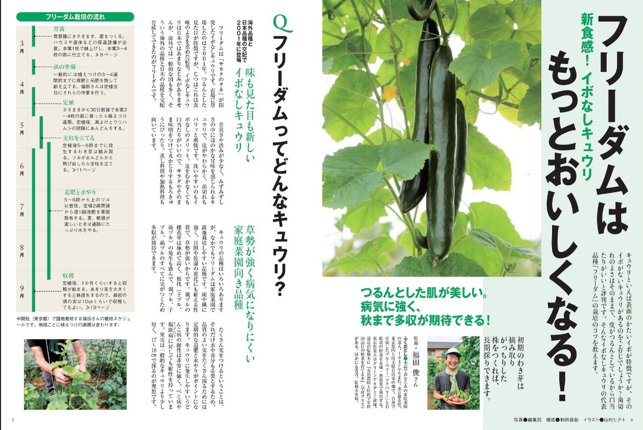 野菜だより 年5月号 発売日年04月03日 雑誌 電子書籍 定期購読の予約はfujisan