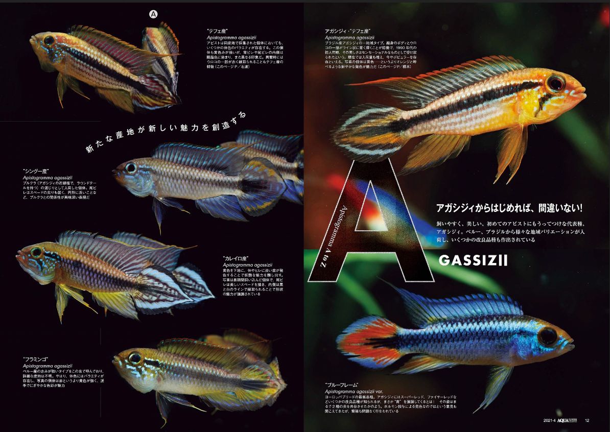 アクアライフのバックナンバー 雑誌 電子書籍 定期購読の予約はfujisan