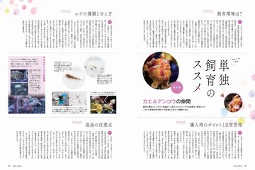 コーラルフリークス vol.16 (発売日2015年10月31日) | 雑誌/電子