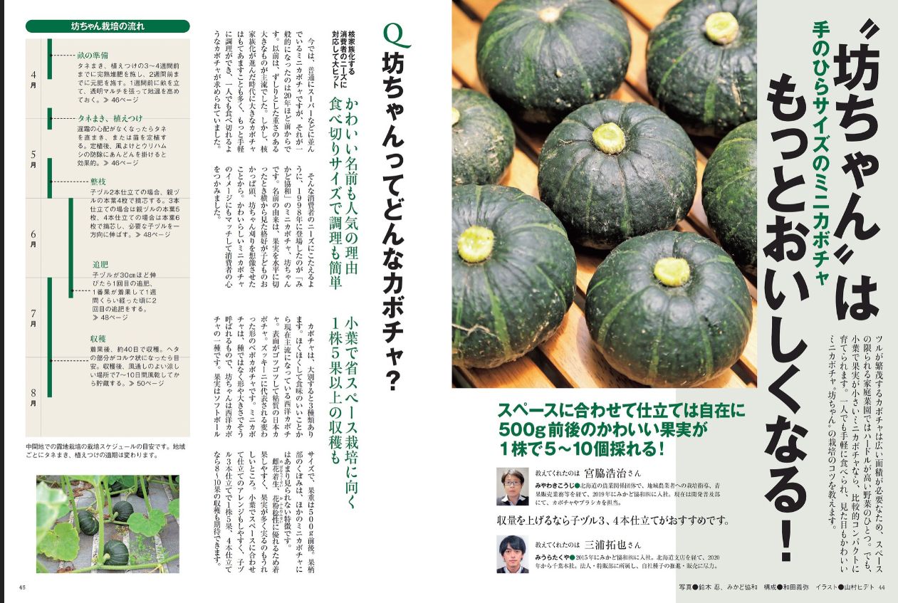 野菜だよりの最新号 21年9月号 発売日21年08月03日 雑誌 電子書籍 定期購読の予約はfujisan
