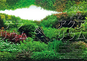 Nhk 趣味の園芸 18年6月号 発売日18年05月21日 雑誌 定期購読の予約はfujisan