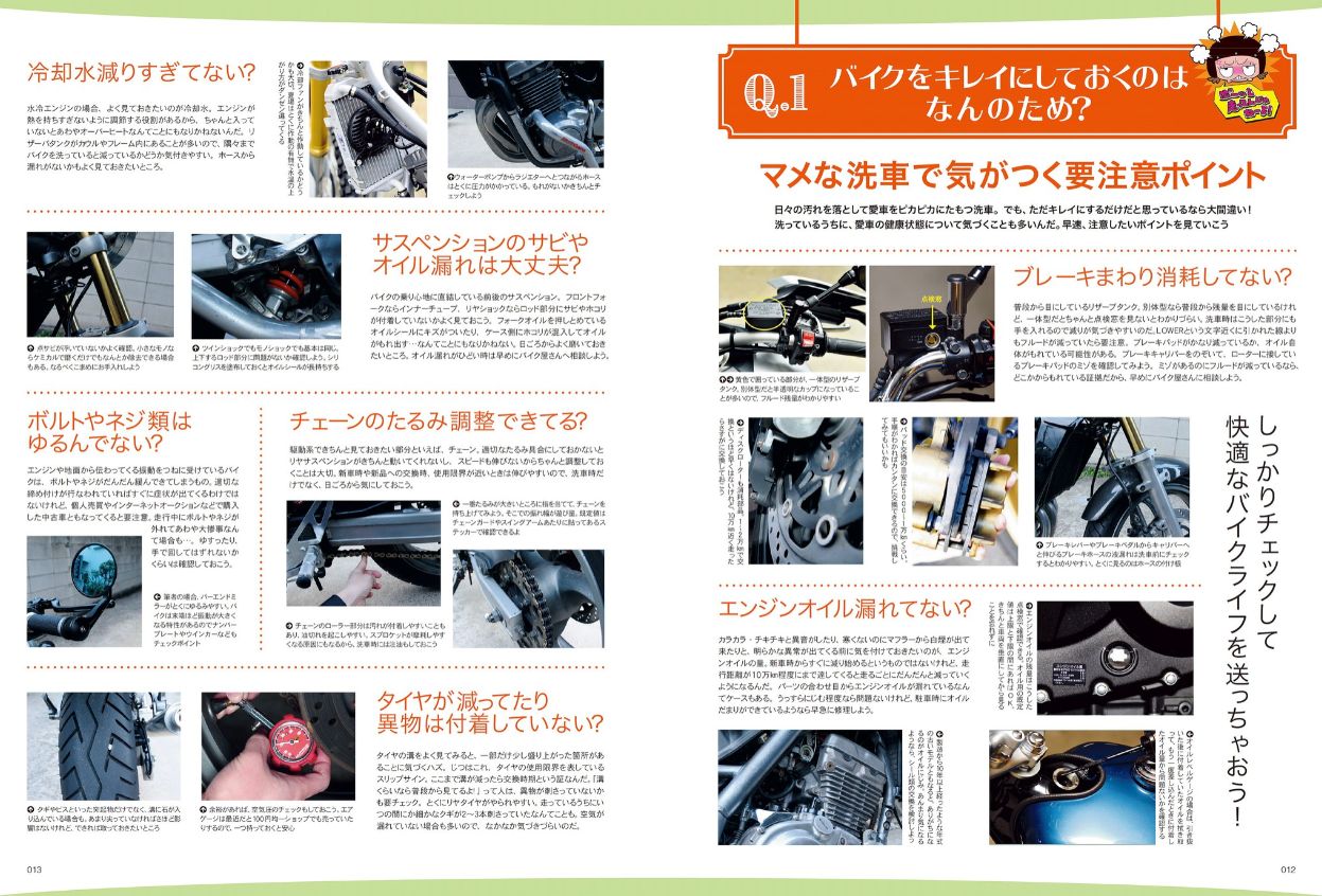 back number 会報誌vol.1〜22 レディスバイク Vol.22 (発売日2009年07月01日) | 雑誌/電子書籍