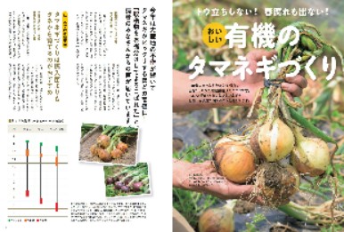 雑誌 野菜 だ より セール