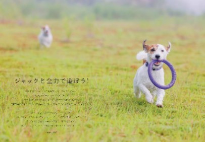 わんわんお（雑誌） 2054559_n.jpg
